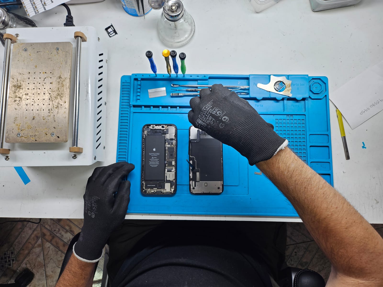 WhatsApp Image 2025-10-13 at 09.01.54